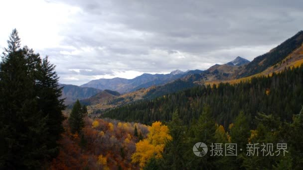 风景秀丽的山景与秋天的树木视频