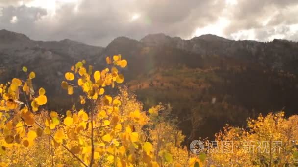 幻灯片轨拍摄的黄色山杨和崎岖的山峰