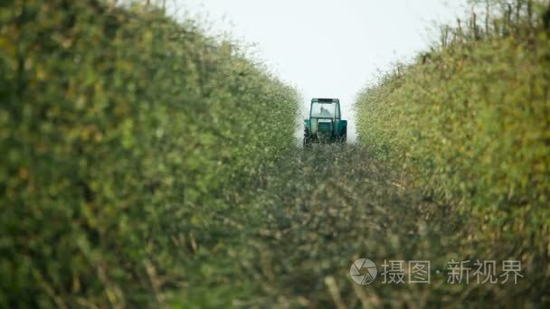 苹果果园与拖拉机视频