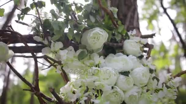 可爱的白色布什玫瑰 观赏的白花 在灿烂的阳光 在花园里温柔的玫瑰花 美丽的玫瑰 在绿叶和荆棘 两个白狗蔷薇花的蓓蕾 关闭 美丽的景mp4格式视频下载 正版视频编号017nc6 摄图新视界视频库 可爱的白色布什玫瑰 观赏的白花 在灿烂的阳光 在花园里温柔的玫瑰花 美丽的玫瑰 在绿叶和荆棘 两个白狗蔷薇花的蓓蕾 关闭 美丽的景mp4格式视频下载 正版视频编号017nc6 摄图新视界视频库