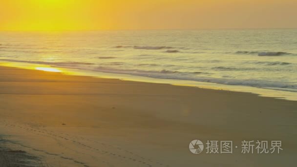 日落海滩与沿海鸟上视频