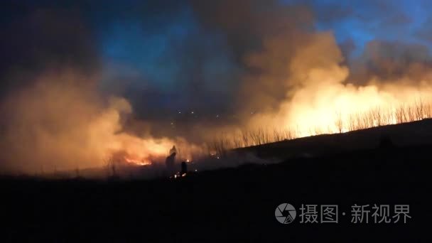 森林火灾对天空背景视频