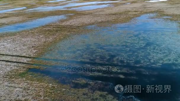 水田和湖泊在春天的鸟瞰图视频