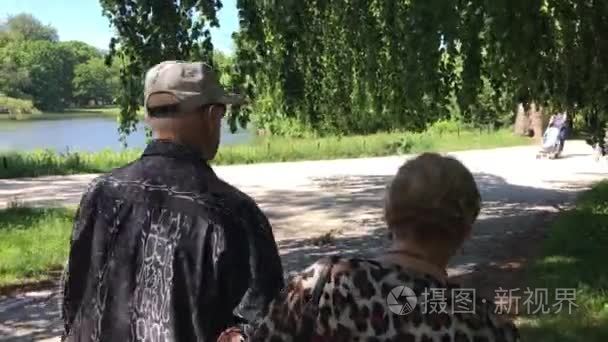 年长的夫妇享受夏天公园散步视频