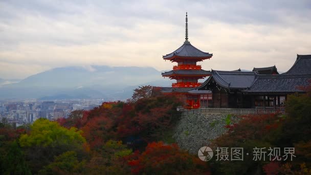在京都清水寺在秋天的季节视频