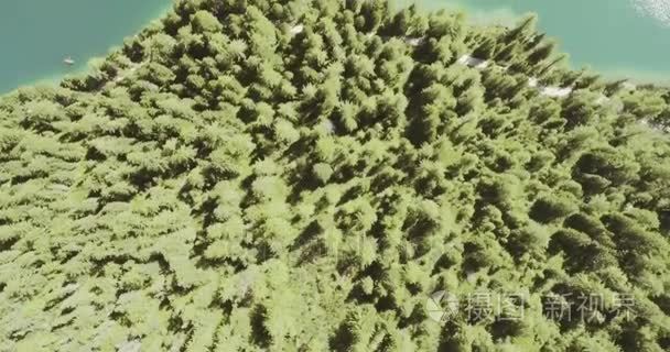 森林森林和湖泊视频