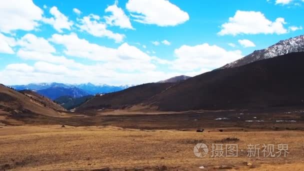 在中国四川路边的亮丽的风景线视频