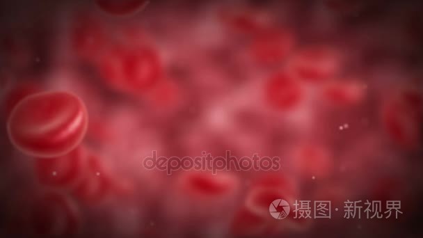 血红细胞旋转视频