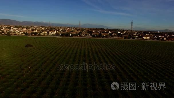 从高度农村景观的景象视频