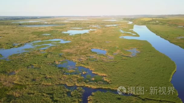 多瑙河三角洲湿地鸟瞰图视频