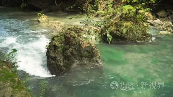 在雨林里的河视频