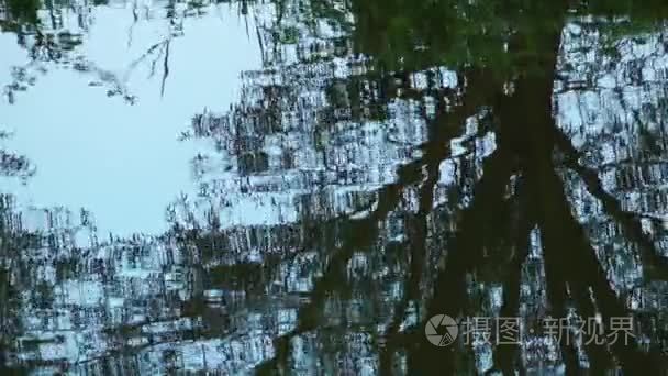 绿色的湖水表面性质视频