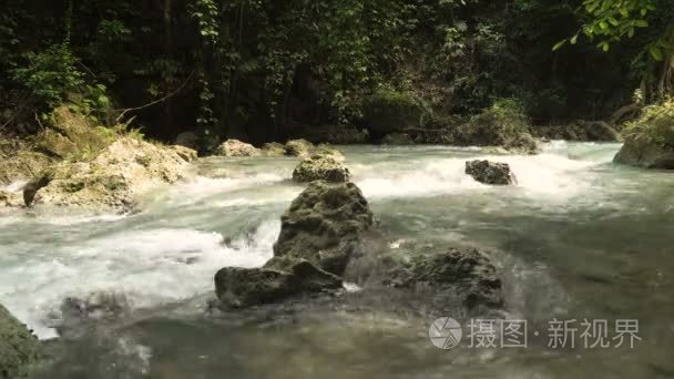 在雨林里的河视频