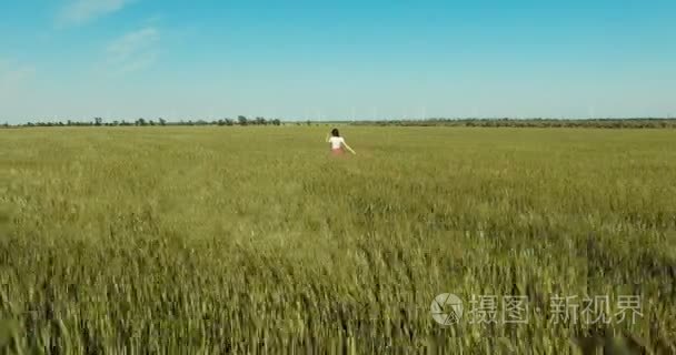 穿过麦田的年轻女人视频