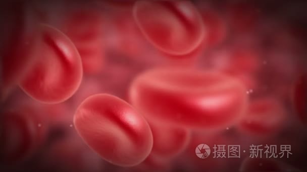血红细胞旋转视频