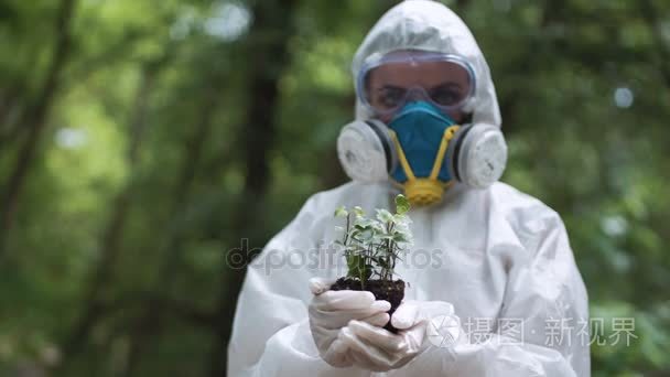 生态学家控股植物视频