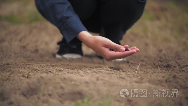 女性控股牵手播种植物在户外视频