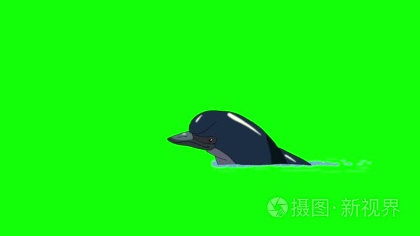 海军蓝色海豚跃出水面视频