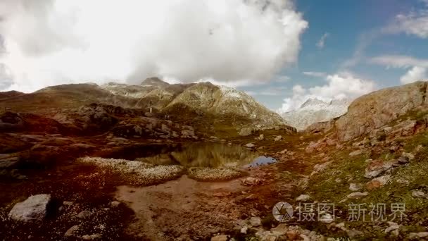 黑海海湾海底的海草矮视频