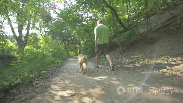 猎犬狗与主人散步视频