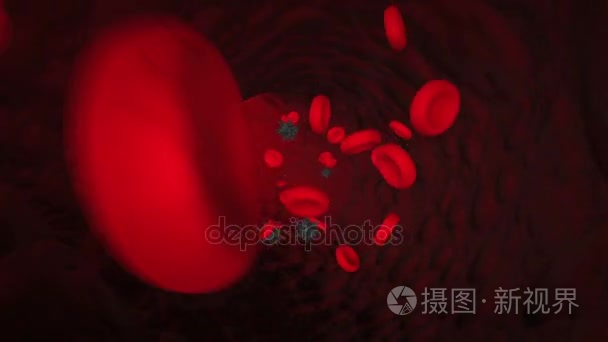 病毒和血液细胞的运动视频