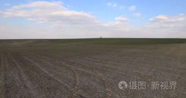 鸟瞰图，在田野，背景中央棵孤独的树