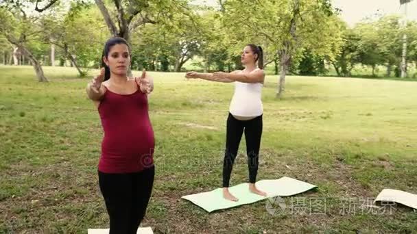 孕妇在公园锻炼瑜伽呼吸视频