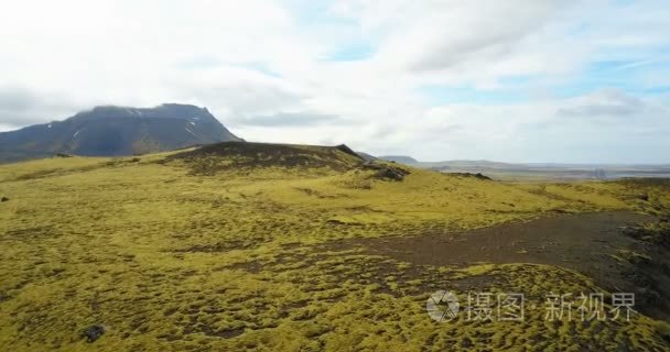 美丽的风景，在冰岛的绿色熔岩字段的鸟瞰图。无人机飞过悬崖上长满青苔