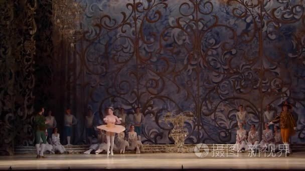 古典芭蕾舞剧睡美人视频