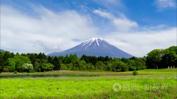 富士山在夏天视频