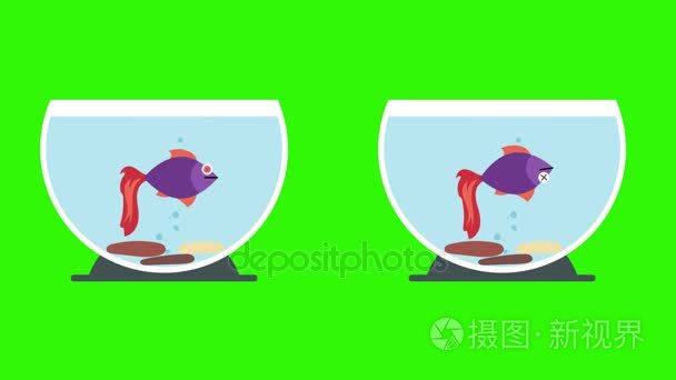 卡通鱼缸与死鱼和活鱼视频