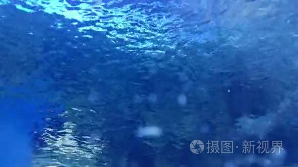 在水族馆的海底世界视频