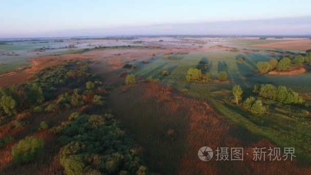 4 k 空中。早上飞过场和树木的影子。轮到