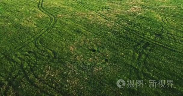 绿油油的草地鸟瞰图视频