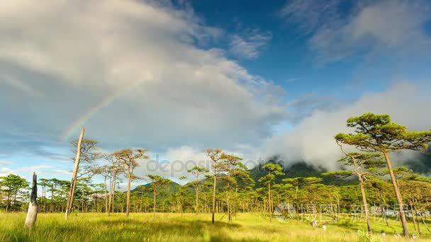 游戏中时光倒流，cloudscape 和雨林，泰国在雨后彩虹