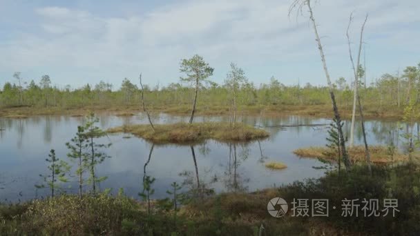 在西伯利亚无法接近的沼泽视频