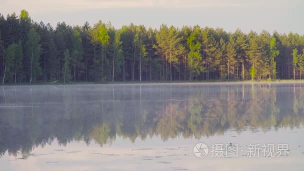 雾在清晨森林湖视频