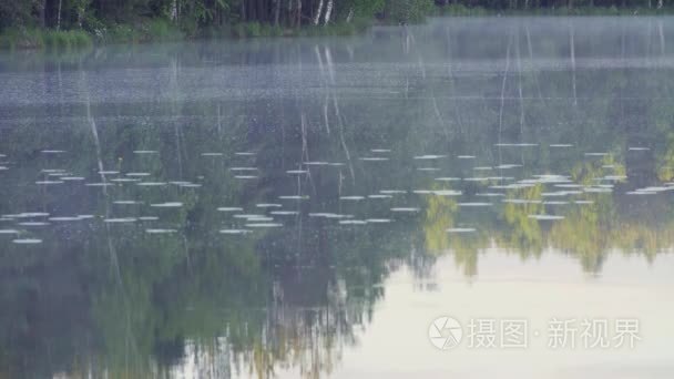 雾在清晨森林湖视频