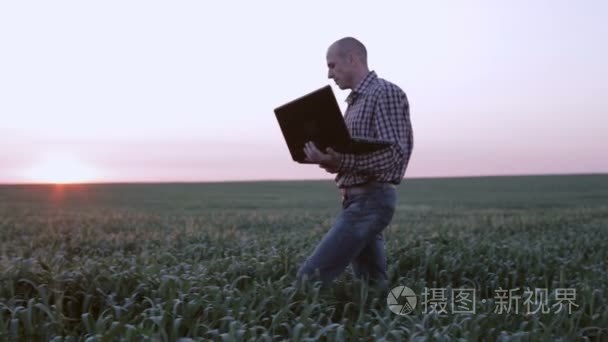 年轻的农学家看笔记本电脑与小麦的生长