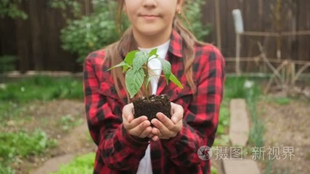 女孩手里拿着土壤和植物幼苗的特写慢动作镜头