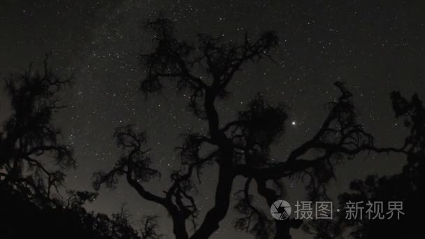 月亮和星星在自然场景上升视频