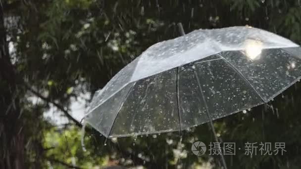 雨打雨伞视频