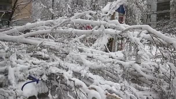 与雪风暴后很多的分支机构视频