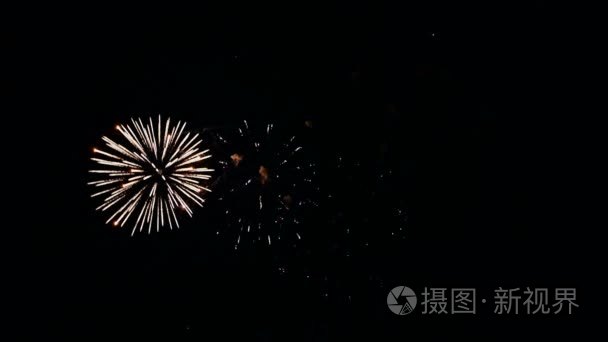 节日烟花在夜空中视频