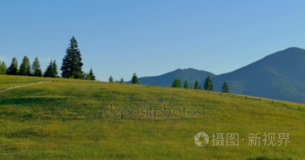 阳光灿烂的绿色山脉。蓝色的天空和山草甸。平移。在山上的森林。全景美丽松树上高山的背景