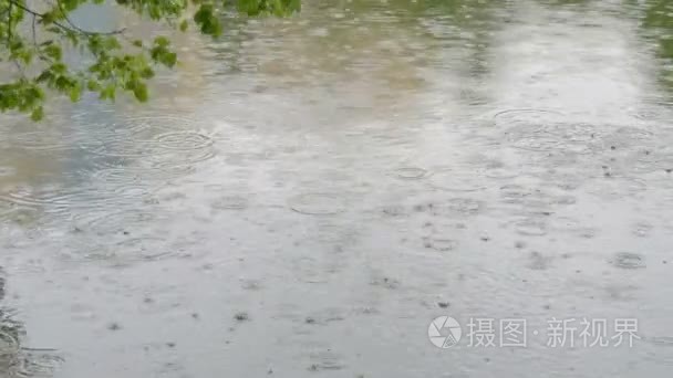 大滴大滴的雨落入市池塘视频