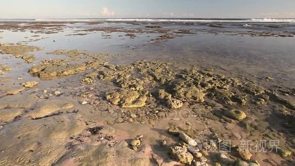 在巴厘岛上的野生海滩视频