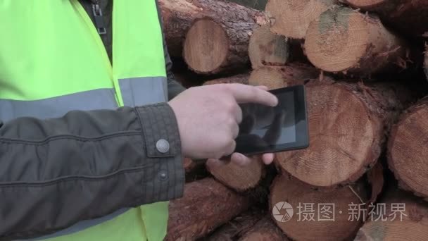 伐木工人附近森林中的日志视频