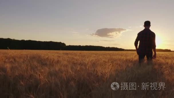 十几岁的男孩走在日落时分的麦田。慢动作视频、 背视图