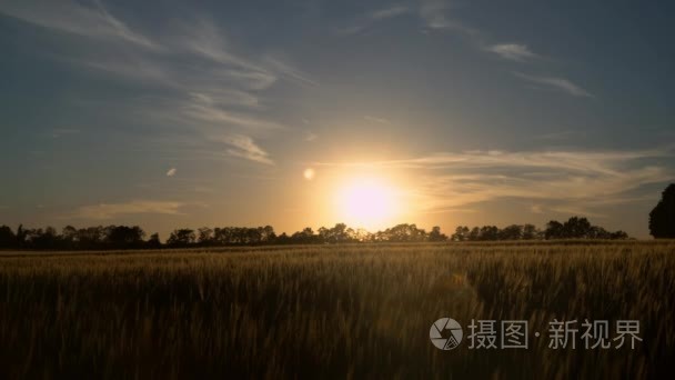 行走在农村的男人视频